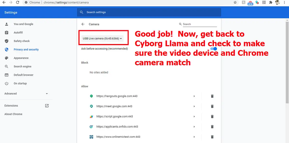The seventh image of a tutorial series to fix your camera in Cyborg Llama: go back and make sure the Chrome camera and video device match